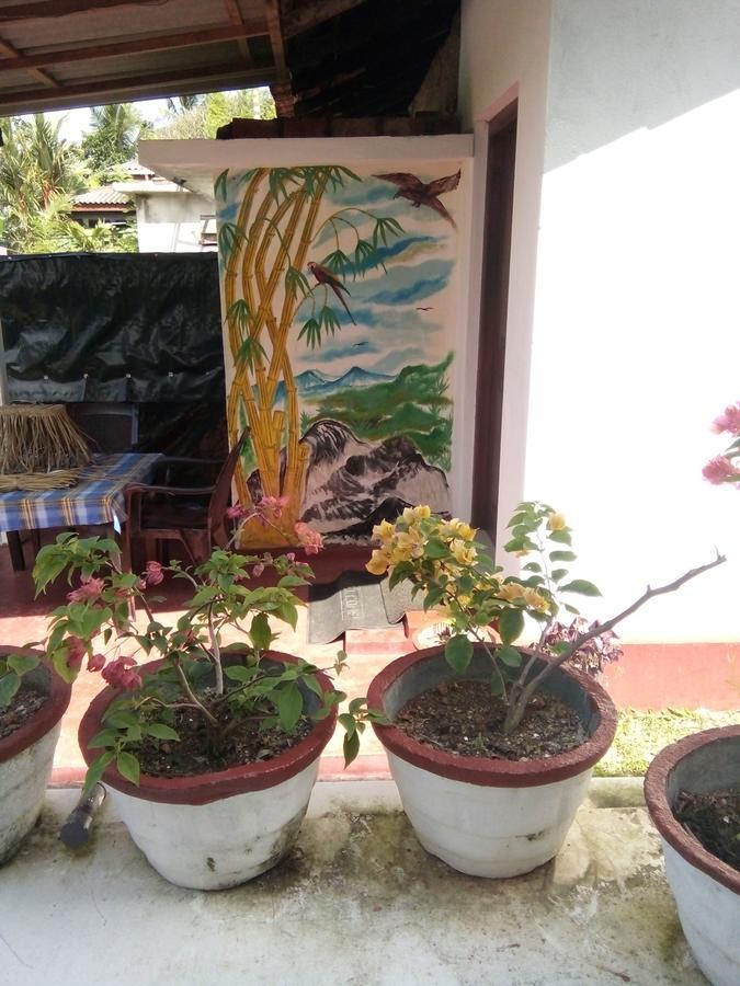 Bentota Orchid House Bed & Breakfast Exterior photo