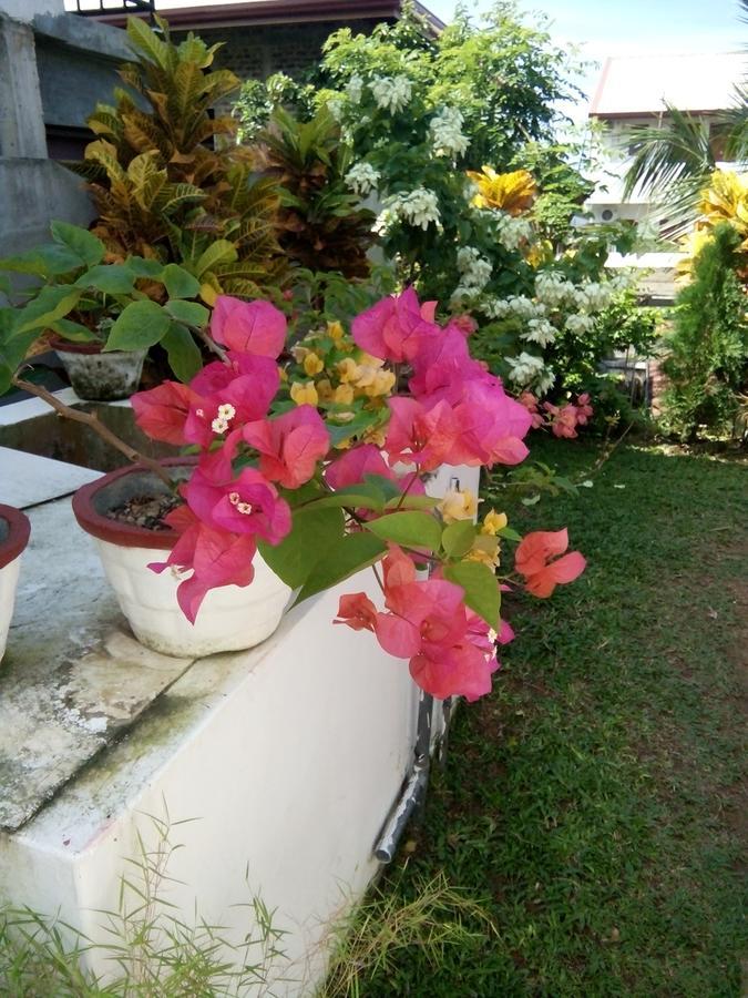 Bentota Orchid House Bed & Breakfast Exterior photo